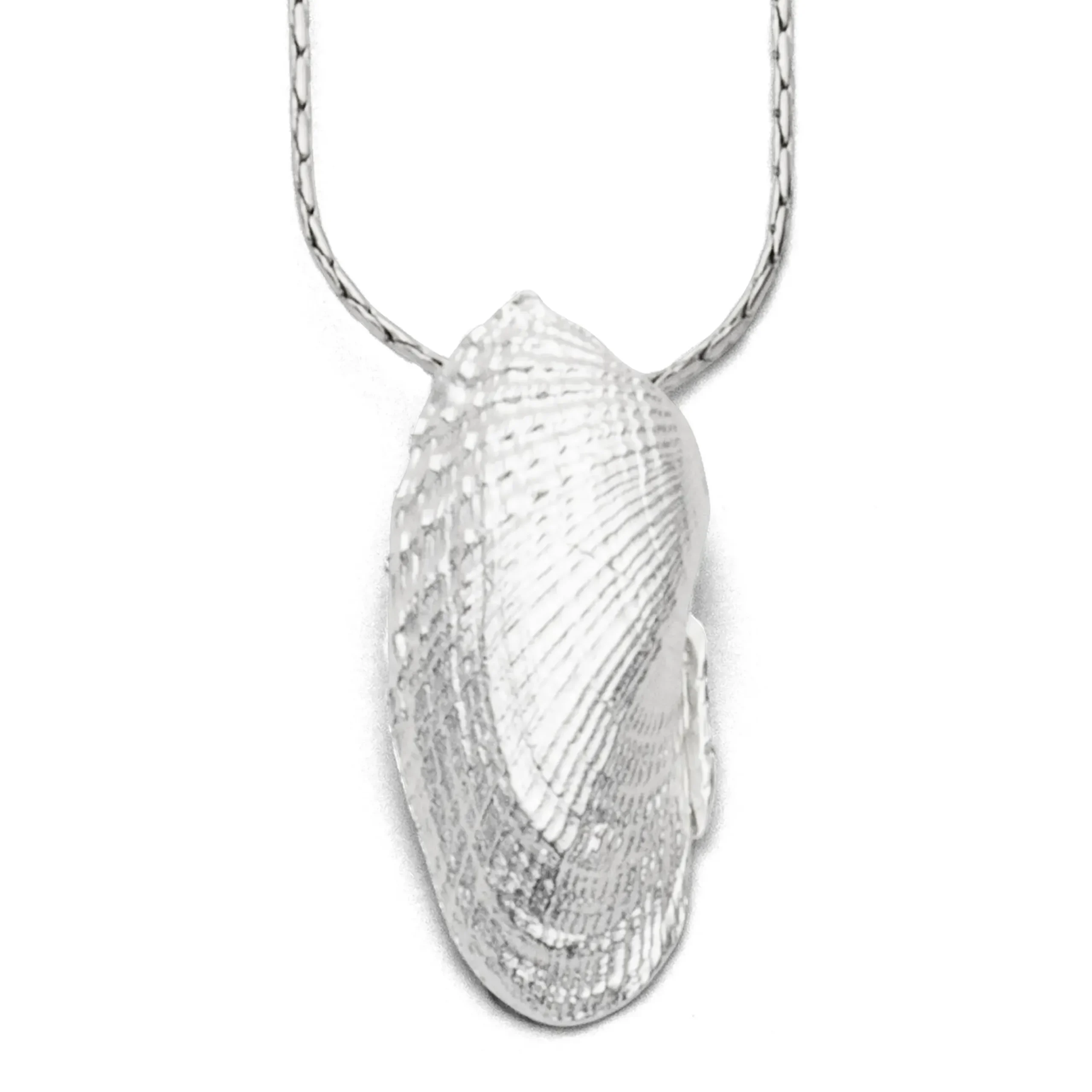 Anhänger "Engelsflügel-Muschel"