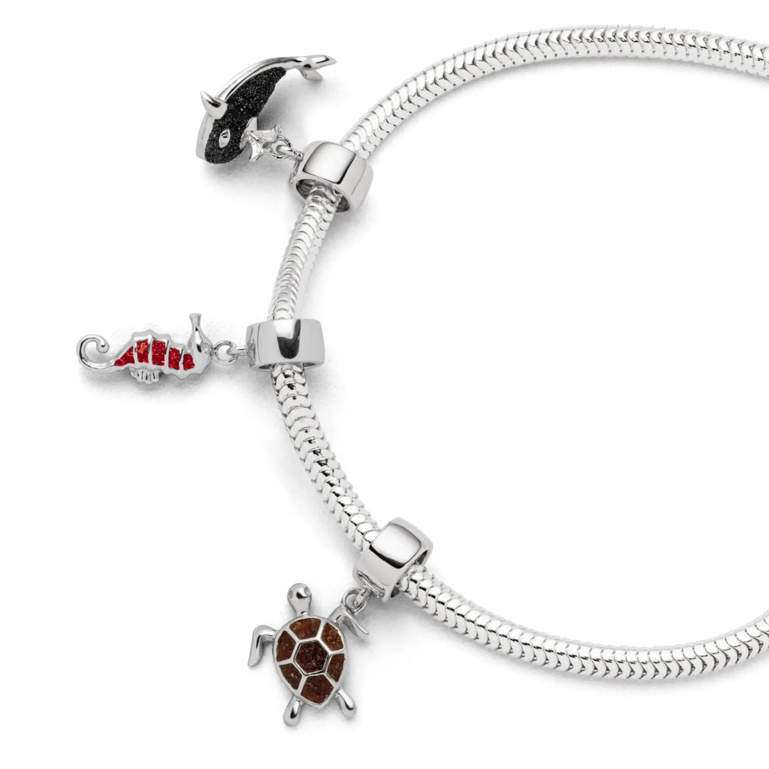 Charm "Turtle" Bernstein